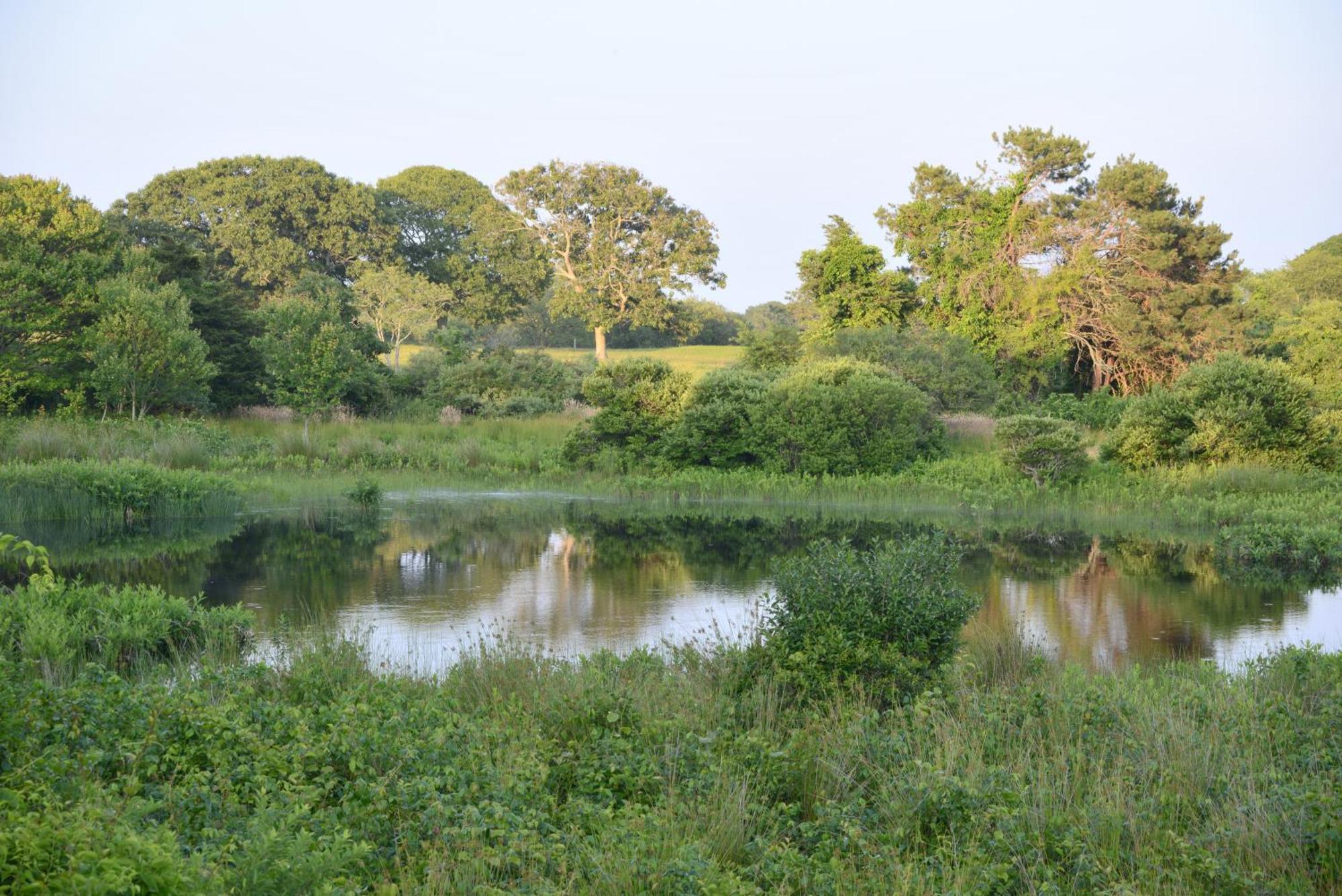 Hi Martha'S Vineyard Hostel Vineyard Haven Esterno foto